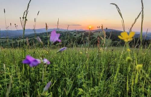 Sovanova Domki w Górach Sowich z Tarasem i Widokiem - Foto 38