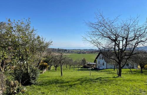 Zweistöckiges Natur-Holzhaus mit Berg- & Seesicht - Foto 20