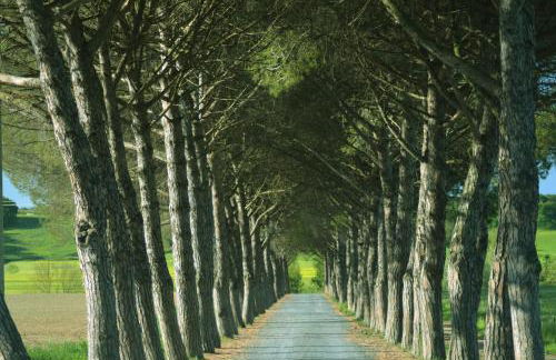 Agriturismo L'impero - Foto 23