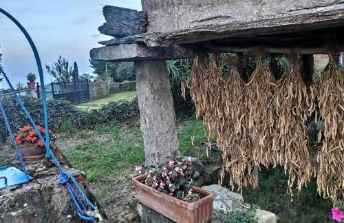 Casa rural La Mar de Les Lluces d'Ítaca - Asturias - Foto 41