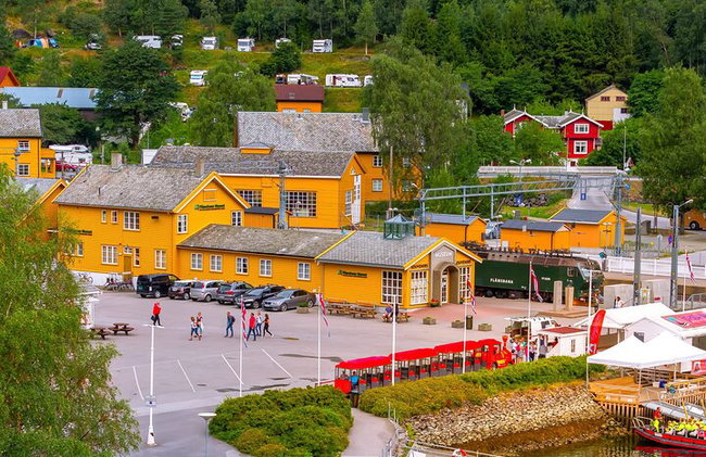 Ferrovia Flam, crociera Nærøyfjorden e punto panoramico Stegastein - Foto 7