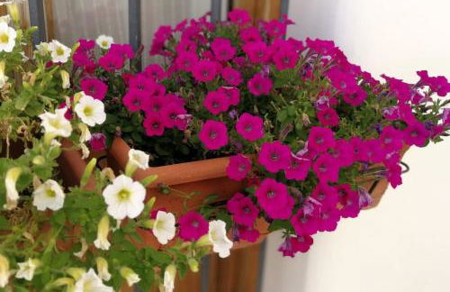 SANCHEZ Y LASERNA STAYS Amplia casa en Denia cerca del mar y la montaña - Foto 31