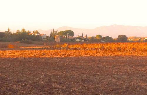 Le Jardin des Copains - Photo 28