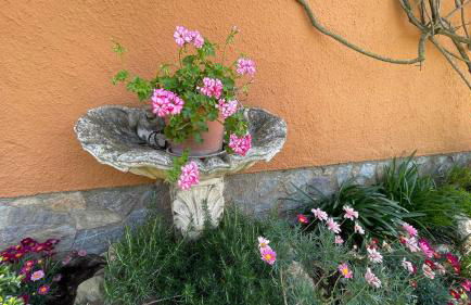 Bellavista - Foto 58