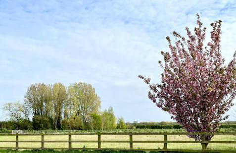 Orchard Hideaway, Bielby, York - Photo 35