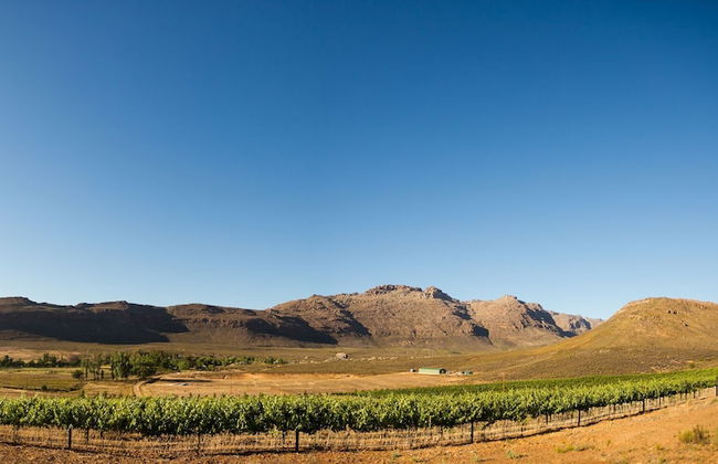 Cederberg Park - Foto 31