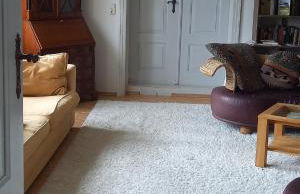 Gutshaus Pinnow - Foto 7