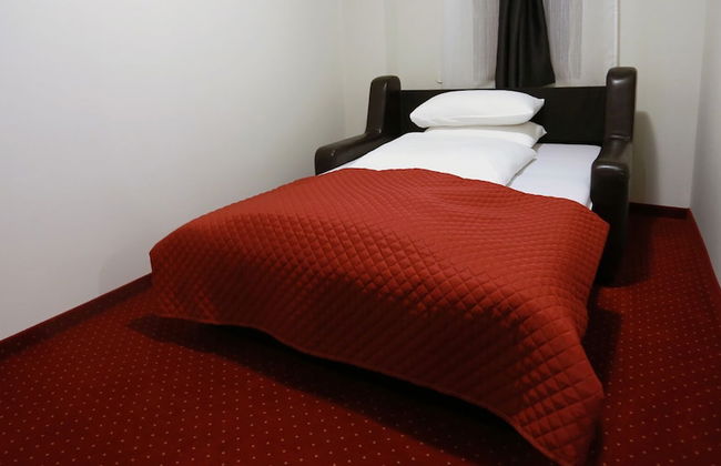 Pensiunea Elemar - Foto 14