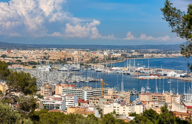 Massanet 1a in Canyamel - Foto 23