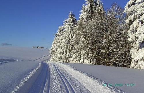 Ferienwohnung Hauptmann - Foto 37
