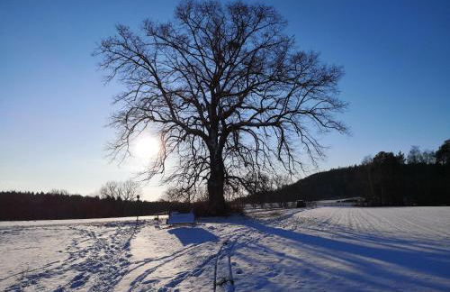 Ferienwohnung Landhaus Reitersbruch - Foto 17