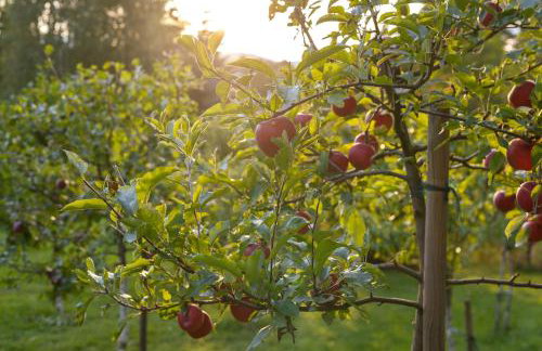 Apartamenty z widokiem na góry w Marczycach - Foto 41