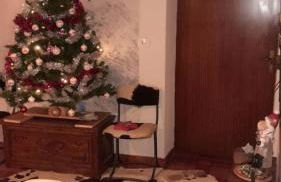 Casa Gugjet Cuore Carnico - appartamento Zoncolan - giardino - no scale - parcheggio e 4 zampe gratis - Foto 27