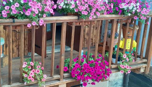 Casa Vacanze Garda Dolomiti crocevia tra laghi e montagne - Foto 5