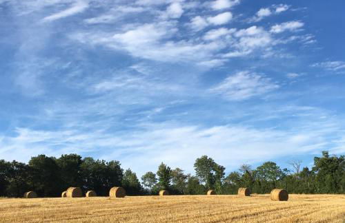 Ostalon de Sénégats - Foto 56