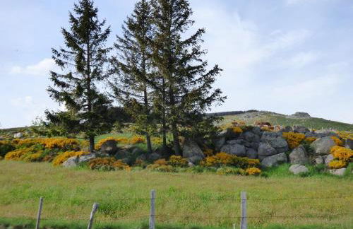 Chez Sylvie La Brousse Mont Lozère - Foto 13