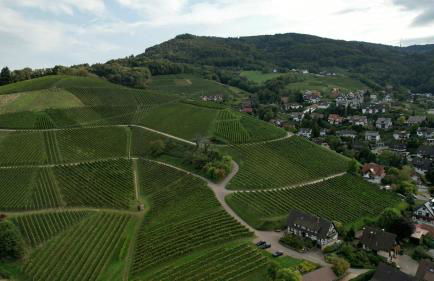Renatas Ferienwohnung Sasbachwalden - Foto 42