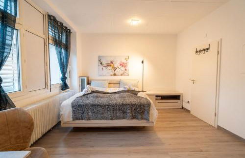 Modernes Studio Koblenz mit Küche, WLAN & Gemeinschaftsbad - Foto 3