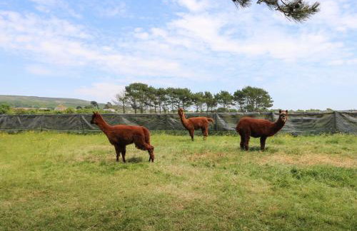 The Stables - Photo 20