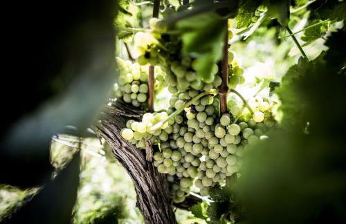 Agriturismo Il Giriatello - Foto 60