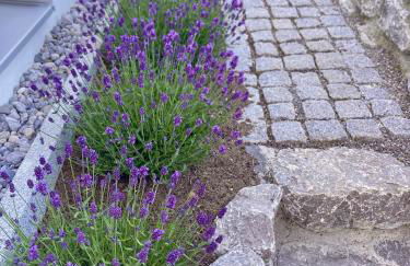 Gemütliche Oase im Voralpenland - Foto 14