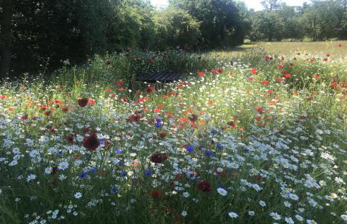 1 Bed in Woodbridge oc-stabu - Foto 25