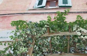 5 Terre, Tellaro: Casa del poeta - Foto 19