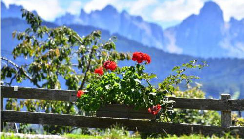 Stierlhof Ritten - Photo 5