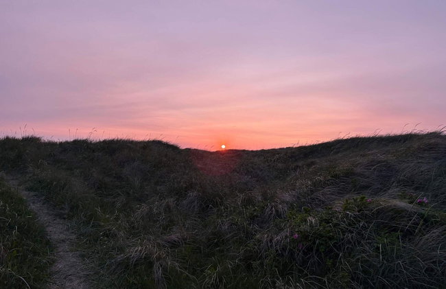 8 Person Holiday Home in Lokken - Foto 11