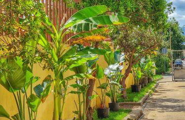 Domos de Ammentos - Foto 10