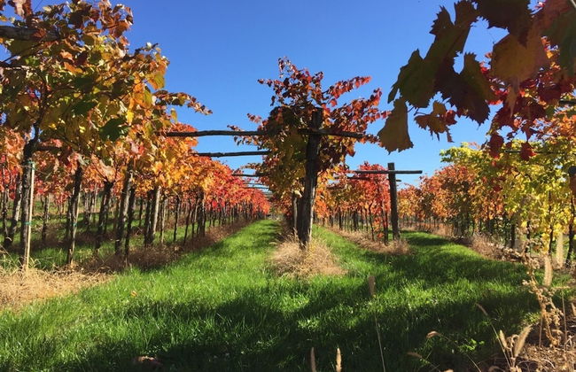 Villa Lavanda in Kriz Sezana With Private Swimpool - Foto 20