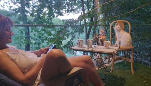 chalet sur pilotis en perigord - Foto 3