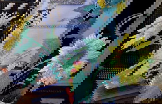 Casa Grande - Photo 60