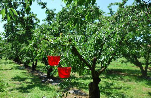 Agriturismo Terra E Sole - Foto 30