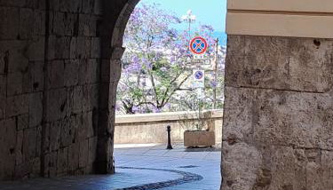 casa vacanze edwige castello - Foto 2