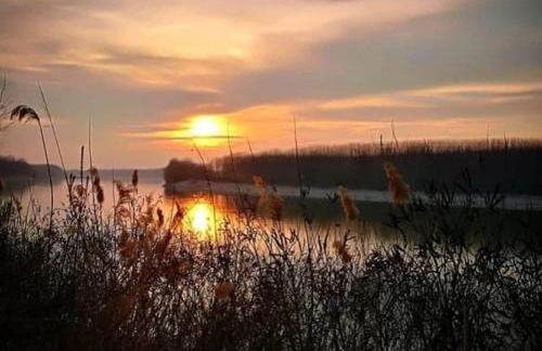 Homecoming apartment - Foto 49