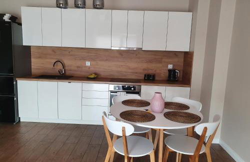 Zamiejska Modern Apartments NOWY APARTAMENTOWIEC WINDA - Photo 6