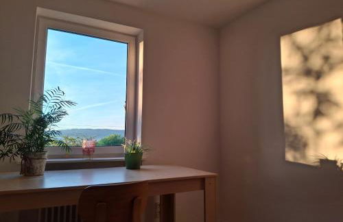 Neu renovierte Wohnung mit Traumaussicht & Natur pur - Foto 8