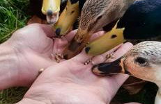 Château Côte de Nacre - Photo 20