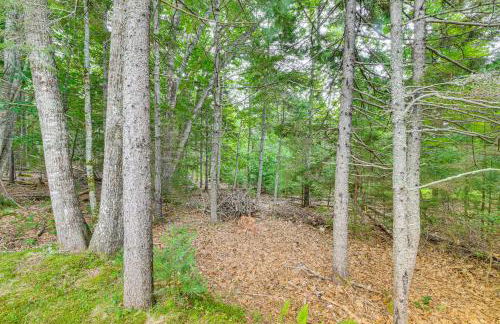 Secluded Orland Cottage with Grill, Near State Parks - Foto 24