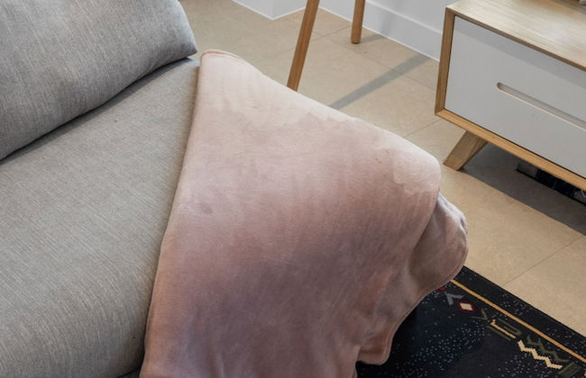 Bilinga Beachfront Luxury at Lana - Foto 15