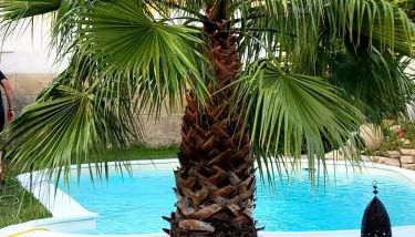 Superbe Villa tout confort avec piscine - Foto 1, Garden, Garden view