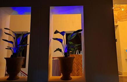 Apartamentos Sherry Center - Foto 33