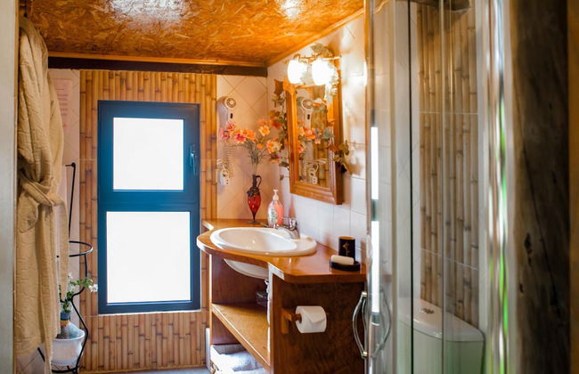 Casas Maravilha - Rvore by Homie - Foto 28