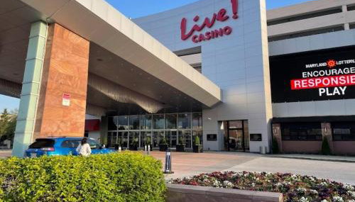 Starlight Serenity - Foto 4