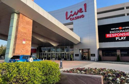 Starlight Serenity - Foto 4