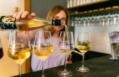 Urlaubsweingut Zecherhof - Photo 61