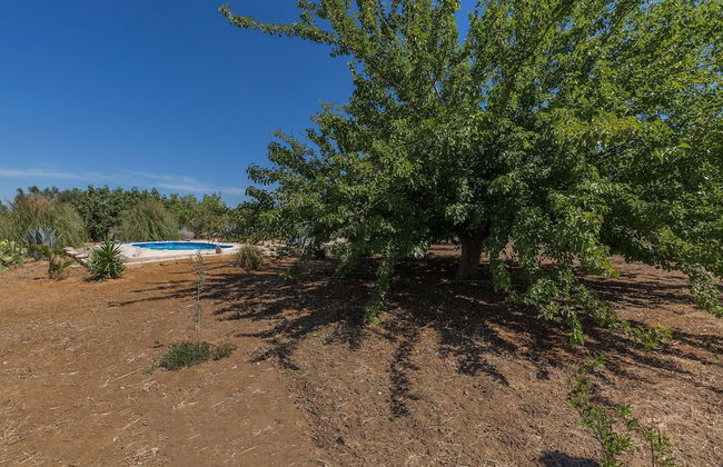 2090 La Terrazza del Salento - Foto 37