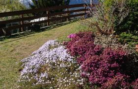 Casa delle Rose - Foto 7