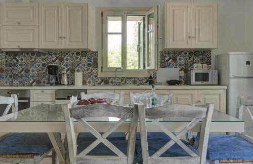 Ouzo Traditional House with private pool - Foto 27